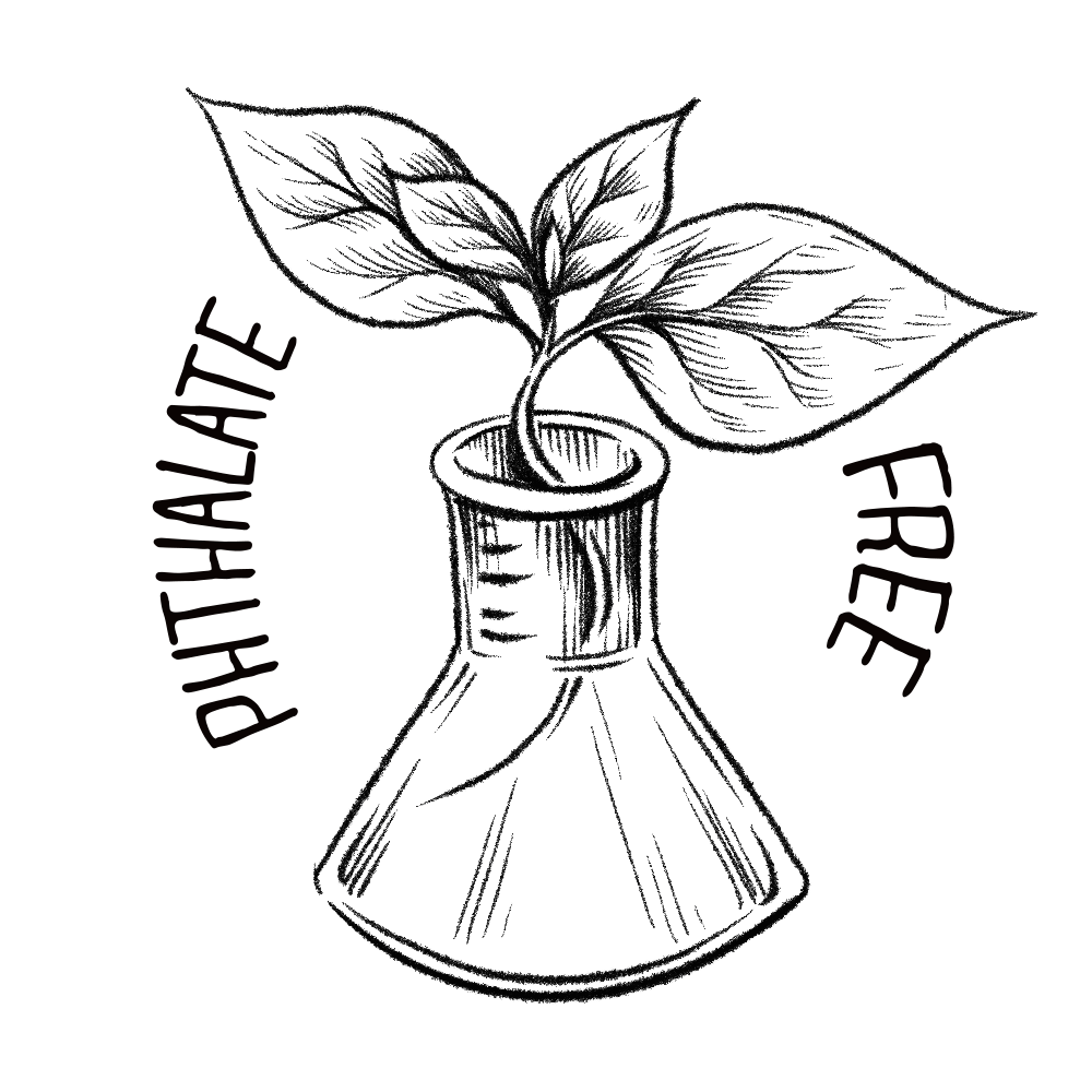 Phthalate free icon beaker with plant growing from it