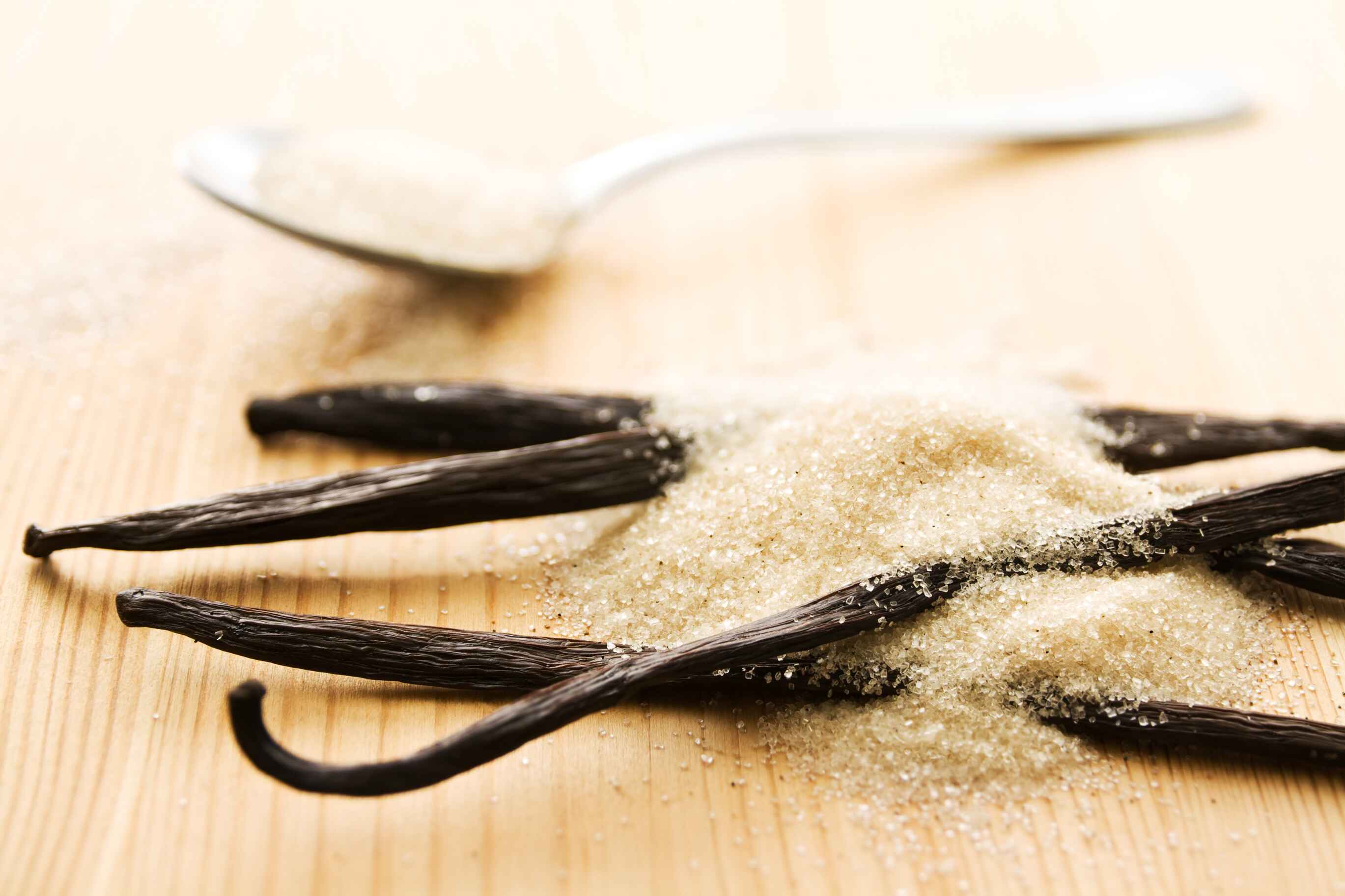 Vanilla  bean  with coconut sugar